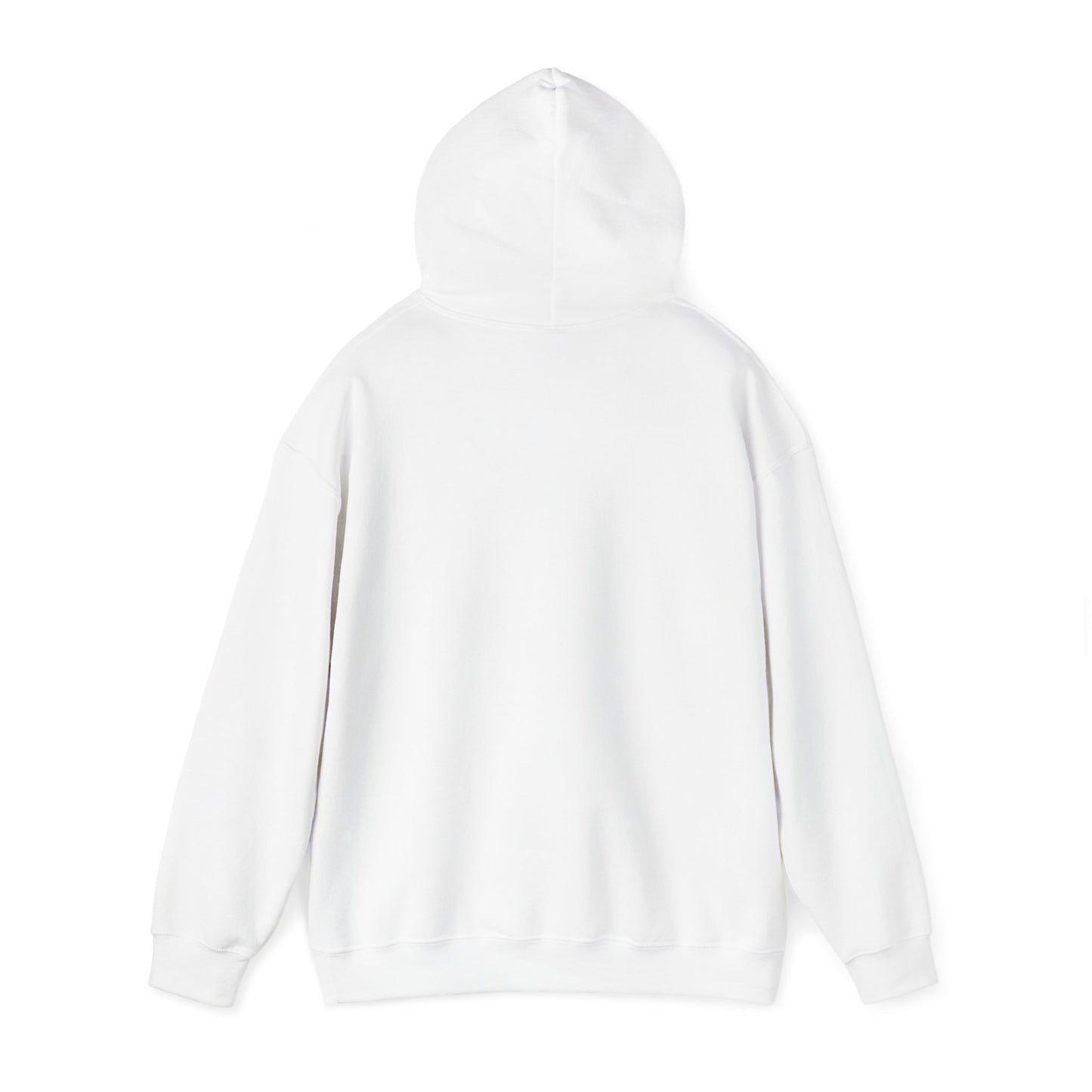 Great Lakes Lifestyle Hoodie, Design on Back, Bayfield