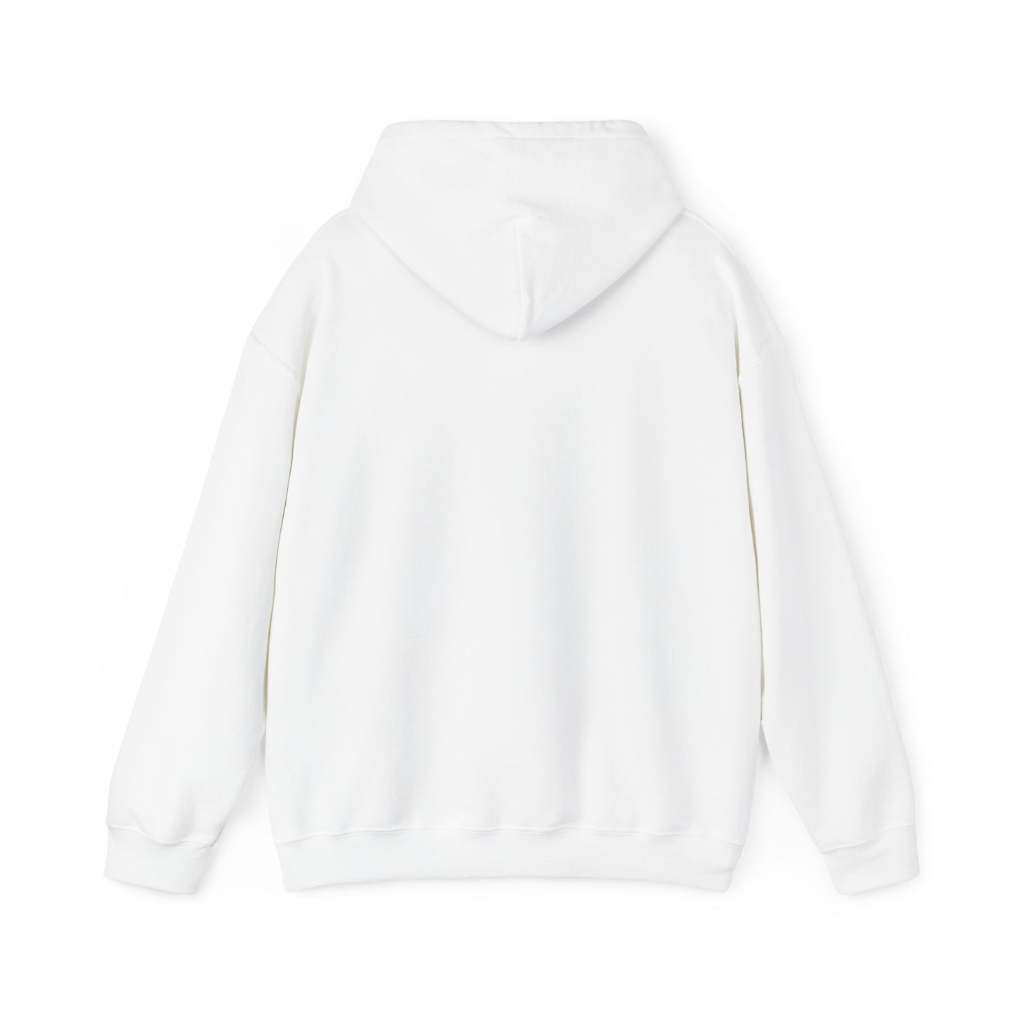 Great Lakes Lifestyle Hoodie, Design on Back, Bayfield